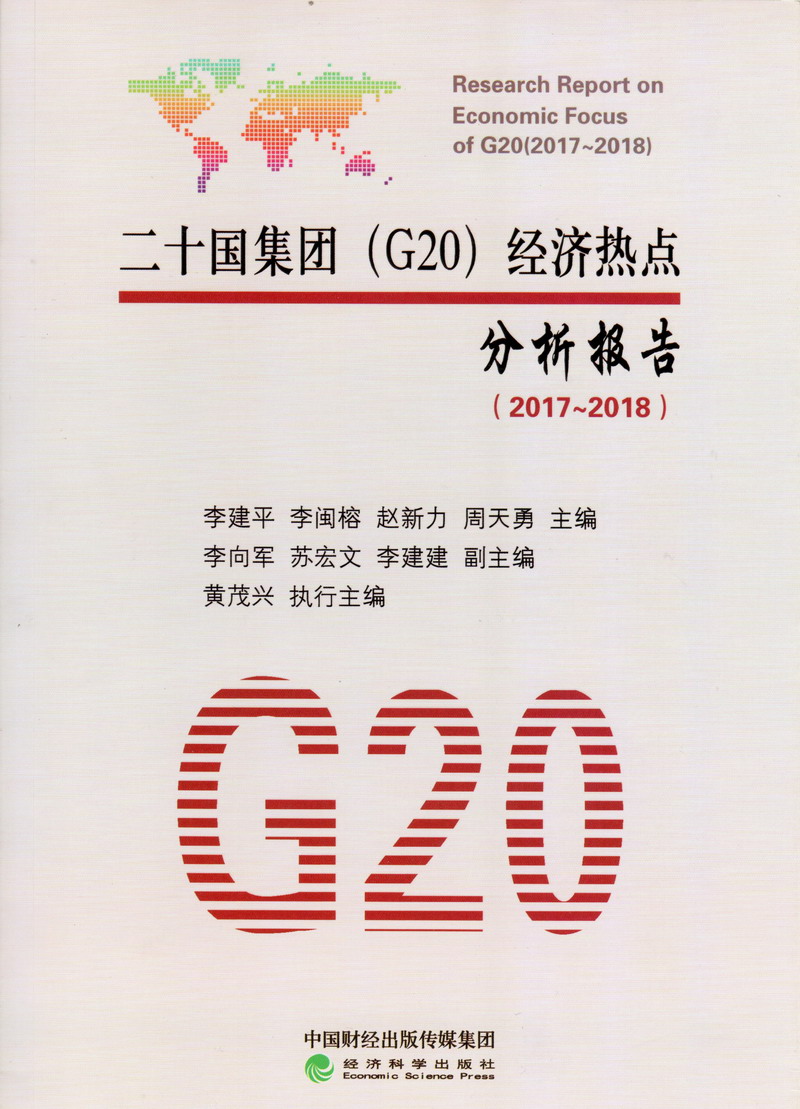 密乳av二十国集团（G20）经济热点分析报告（2017-2018）