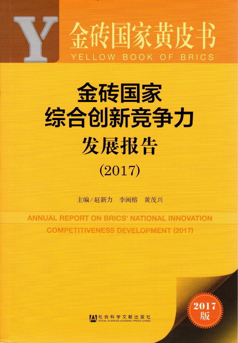 搜索历史巨屌插入视频金砖国家综合创新竞争力发展报告（2017）